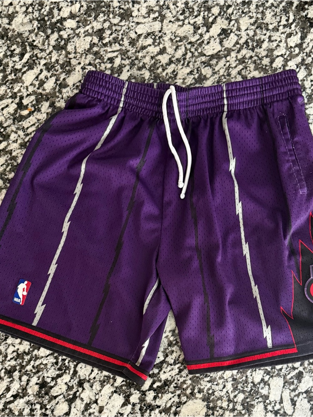 Toronto Raptors Purple Retro NBA Basketball Shorts